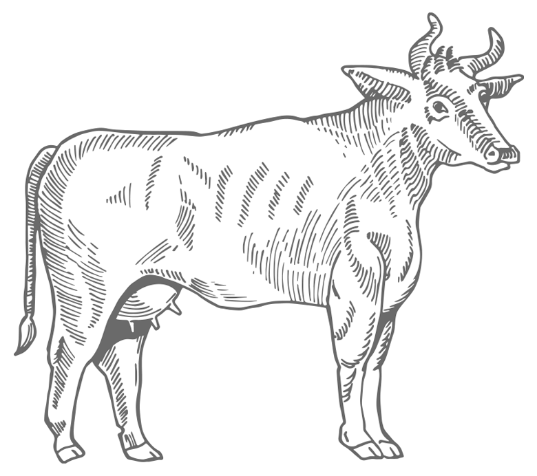 Mutfağın üzerindeki tahtada sucuk ve pastırma dilimleri, yanında şık bir servis teli ve çeşitli garnitürler.